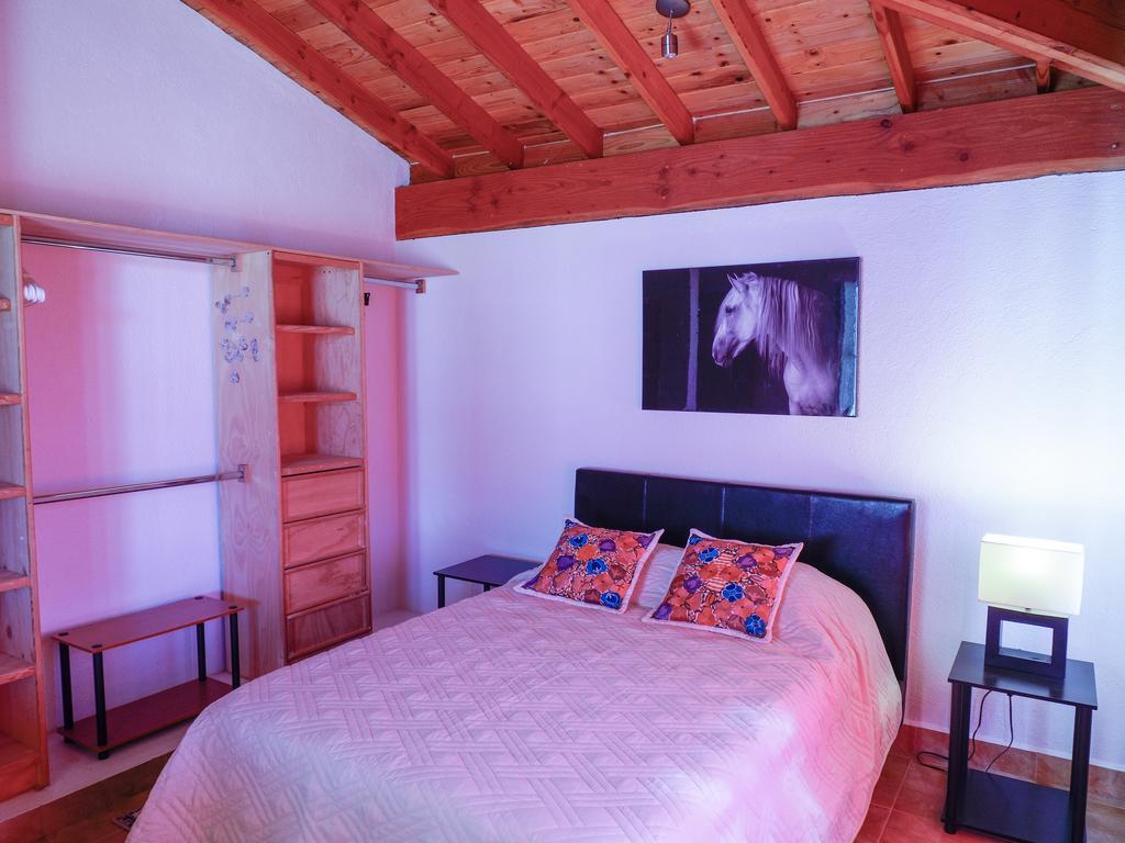 Little Nest En Rancho El Rossinyol Pension Valle de Guadalupe Buitenkant foto