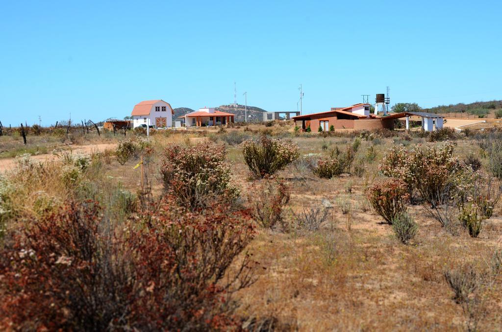 Little Nest En Rancho El Rossinyol Pension Valle de Guadalupe Buitenkant foto